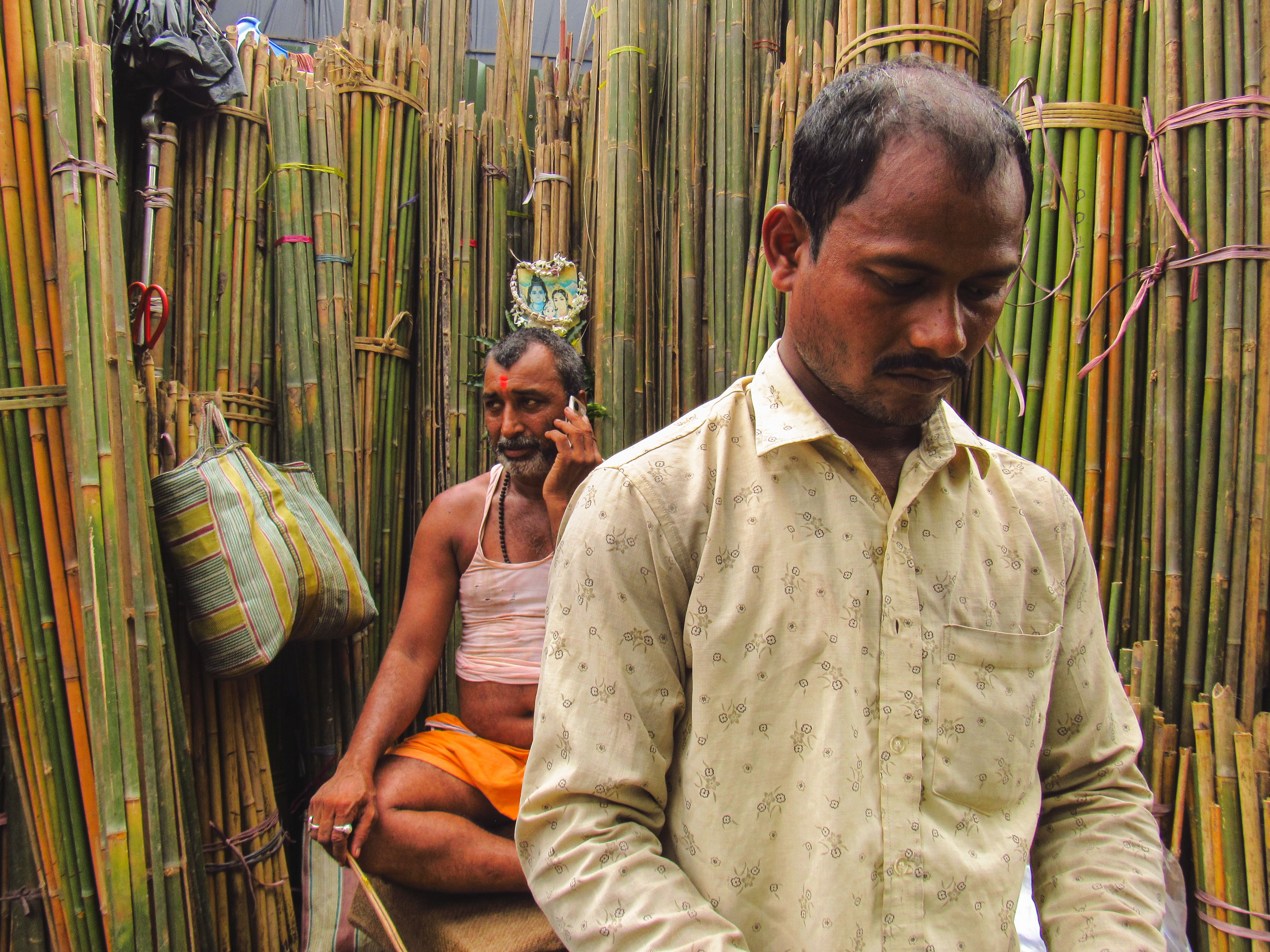 Lemon Grass