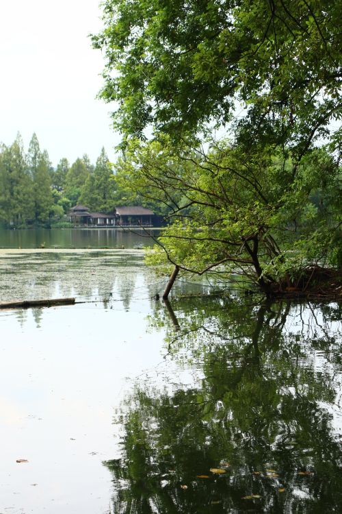 Free A tranquil lakeside view featuring lush greenery and a rustic house reflection on the water. Stock Photo