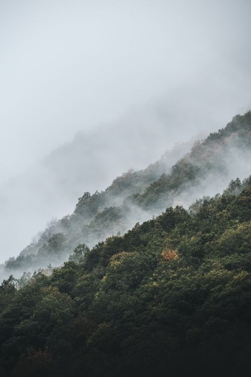 Free Serene misty mountains and lush forest create a tranquil landscape in Mérens-les-Vals, France. Stock Photo