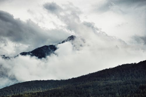 Berg Bedekt Met Mist