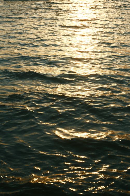 Free Captivating view of golden sunset light reflecting on calm ocean waves, creating a peaceful atmosphere. Stock Photo