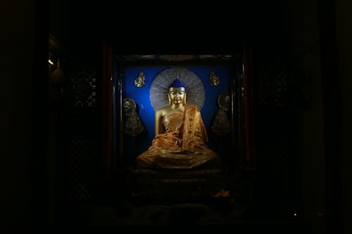 Free stock photo of buddha, buddha statue, buddhas