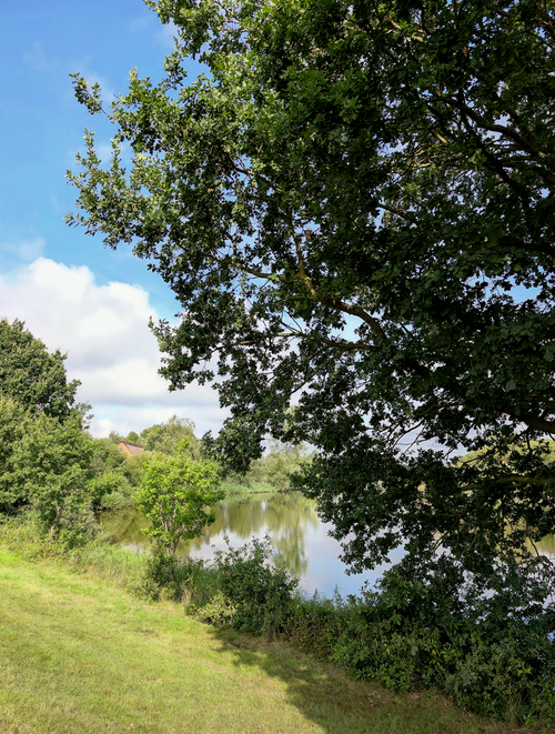 Free Peaceful landscape with lush greenery and a calm lake under blue sky. Stock Photo
