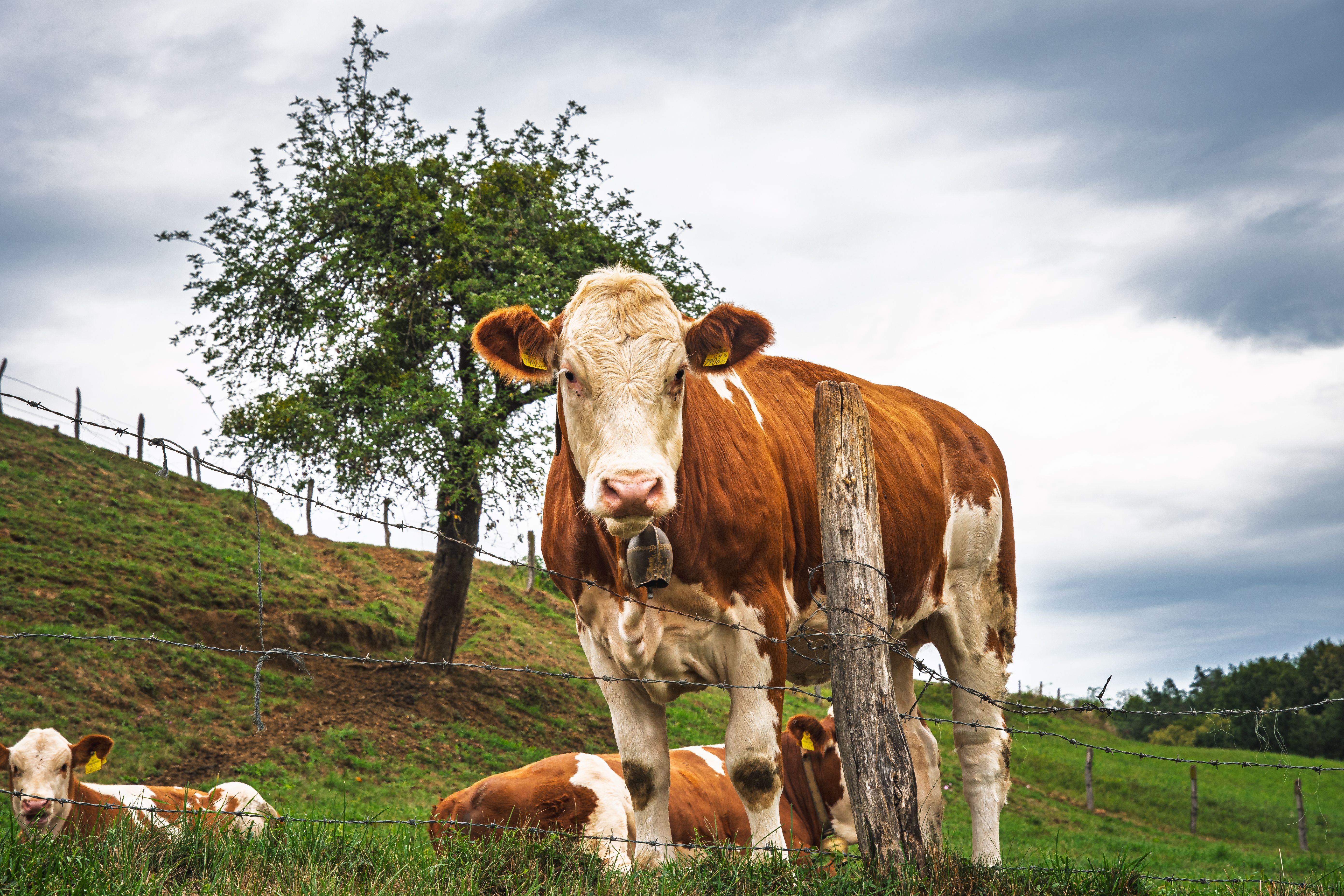 Moomoo Review 2026: Features, Fees and Safety Tested – The Full Breakdown