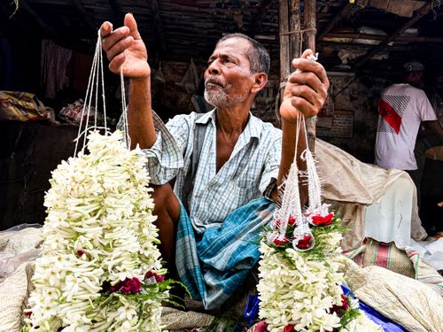 Free Local flower vendor in Howrah, India holds traditional jasmine garlands for sale at market. Stock Photo