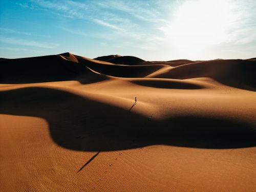 Free A solitary figure walking through the Sahara Desert in Morocco, surrounded by golden dunes at sunset. Stock Photo