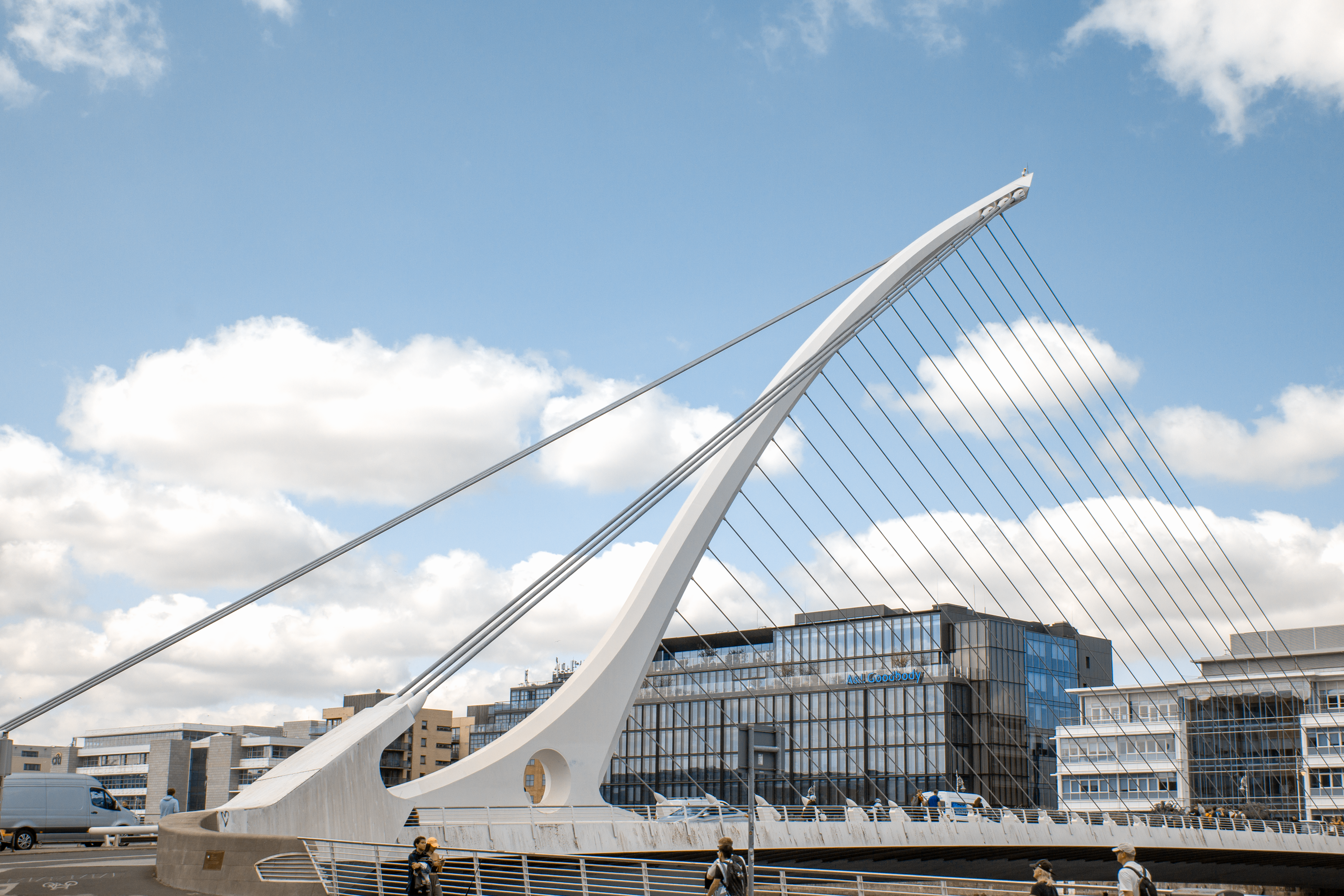 Swans killed in collisions with Dublin’s Samuel Beckett Bridge