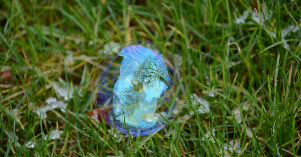 Free stock photo of grass, reflection, soap bubble