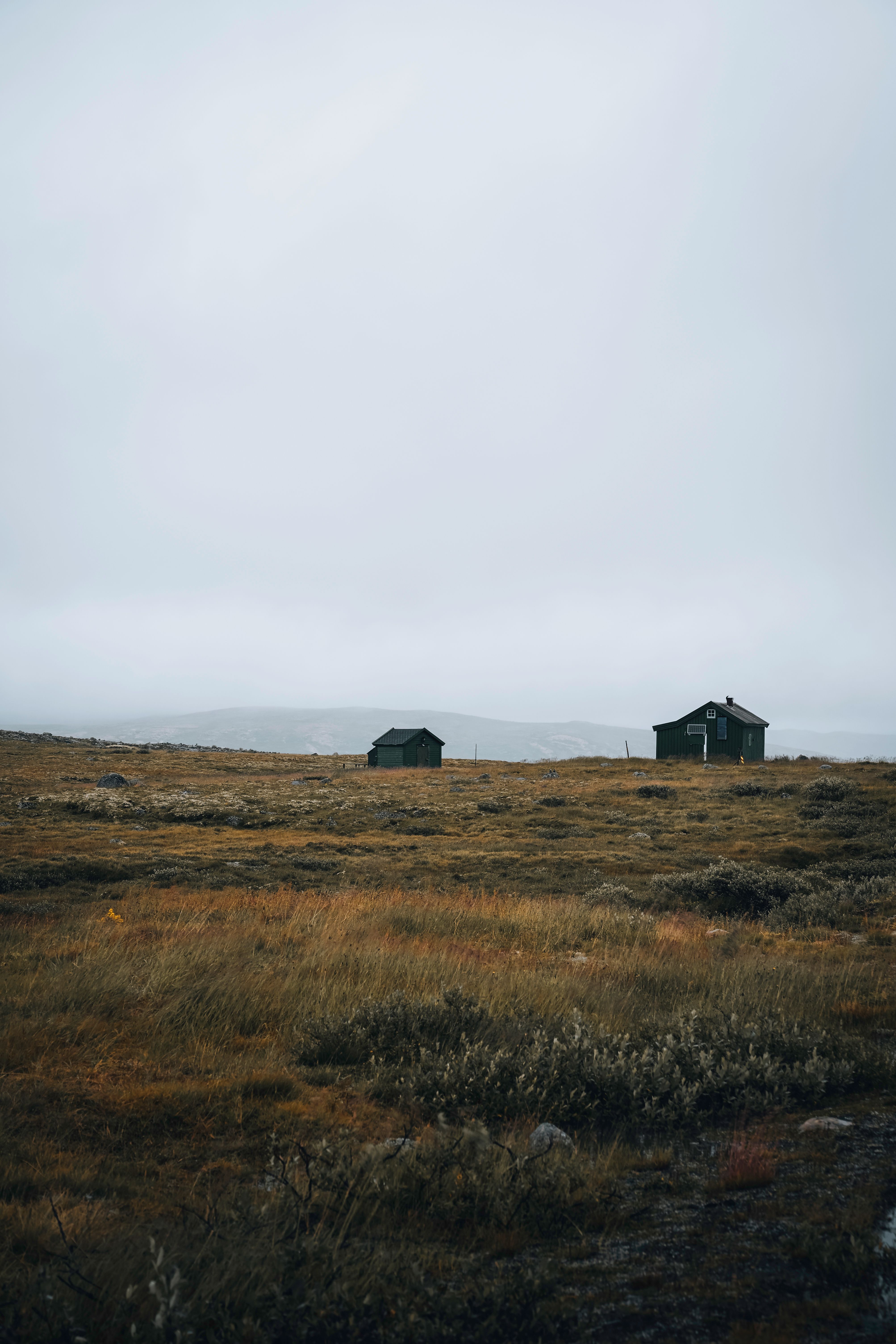 Two isolated cabins stand in a foggy, grassy landscape, offering a sense of solitude and serenity.