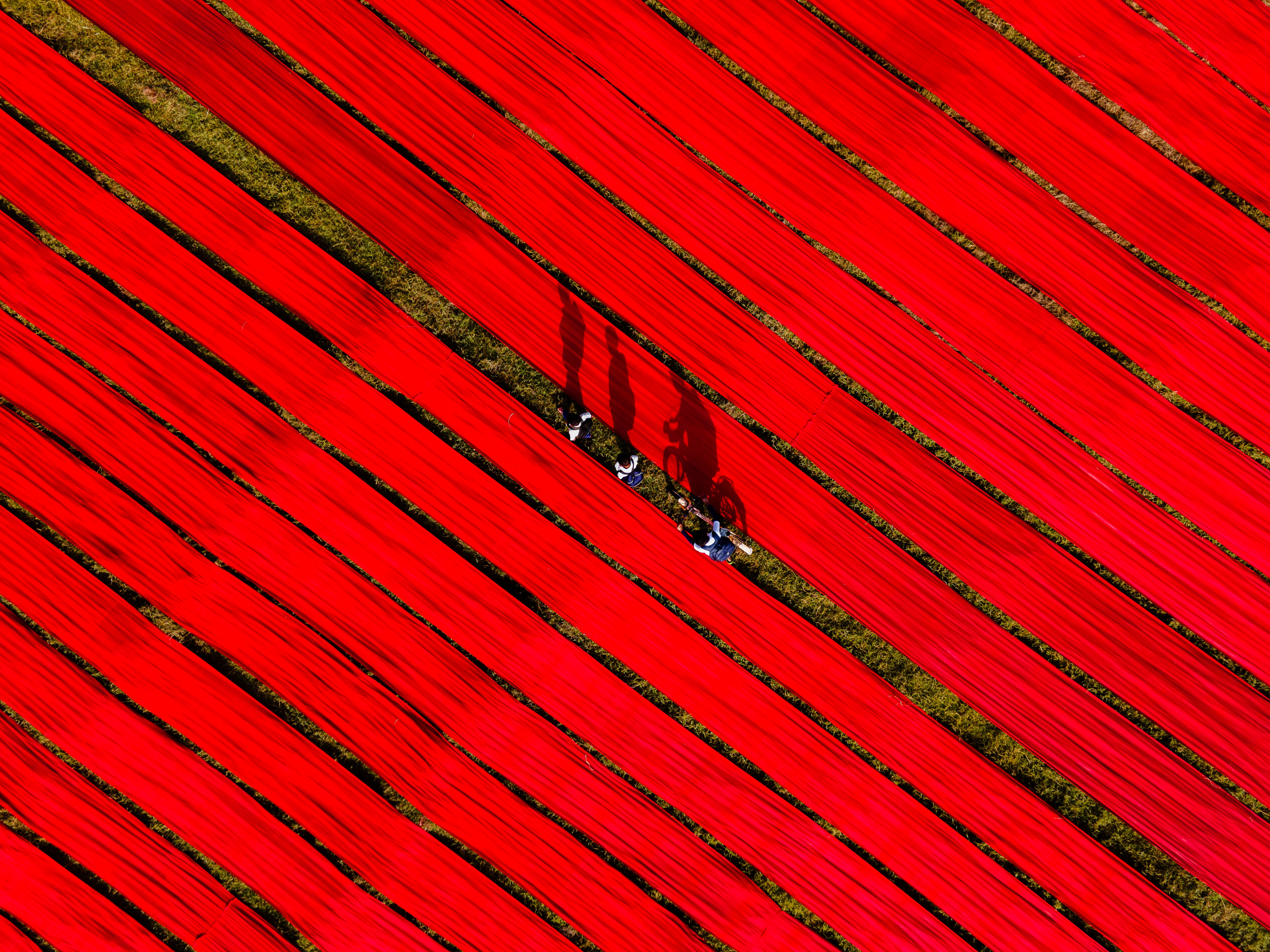Aerial shot depicting red fabric drying in the fields, with shadows adding a dynamic effect.