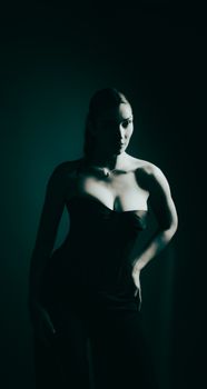 A dramatic silhouette of an elegant woman in a dark strapless dress, creating a moody studio atmosphere.