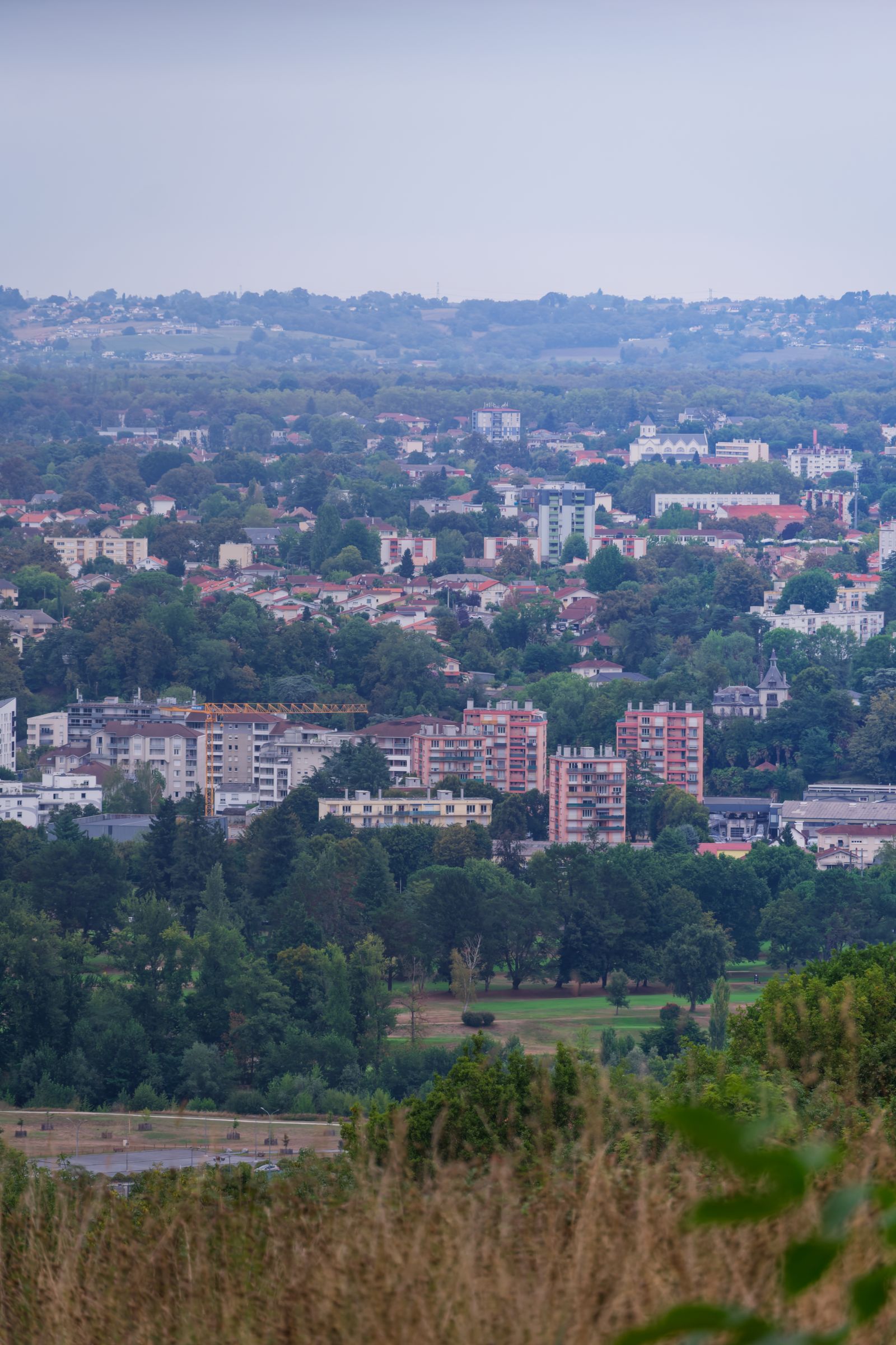 Vue voilée sur les toits de Pau depuis une colline herbeuse, en fin d'après-midi