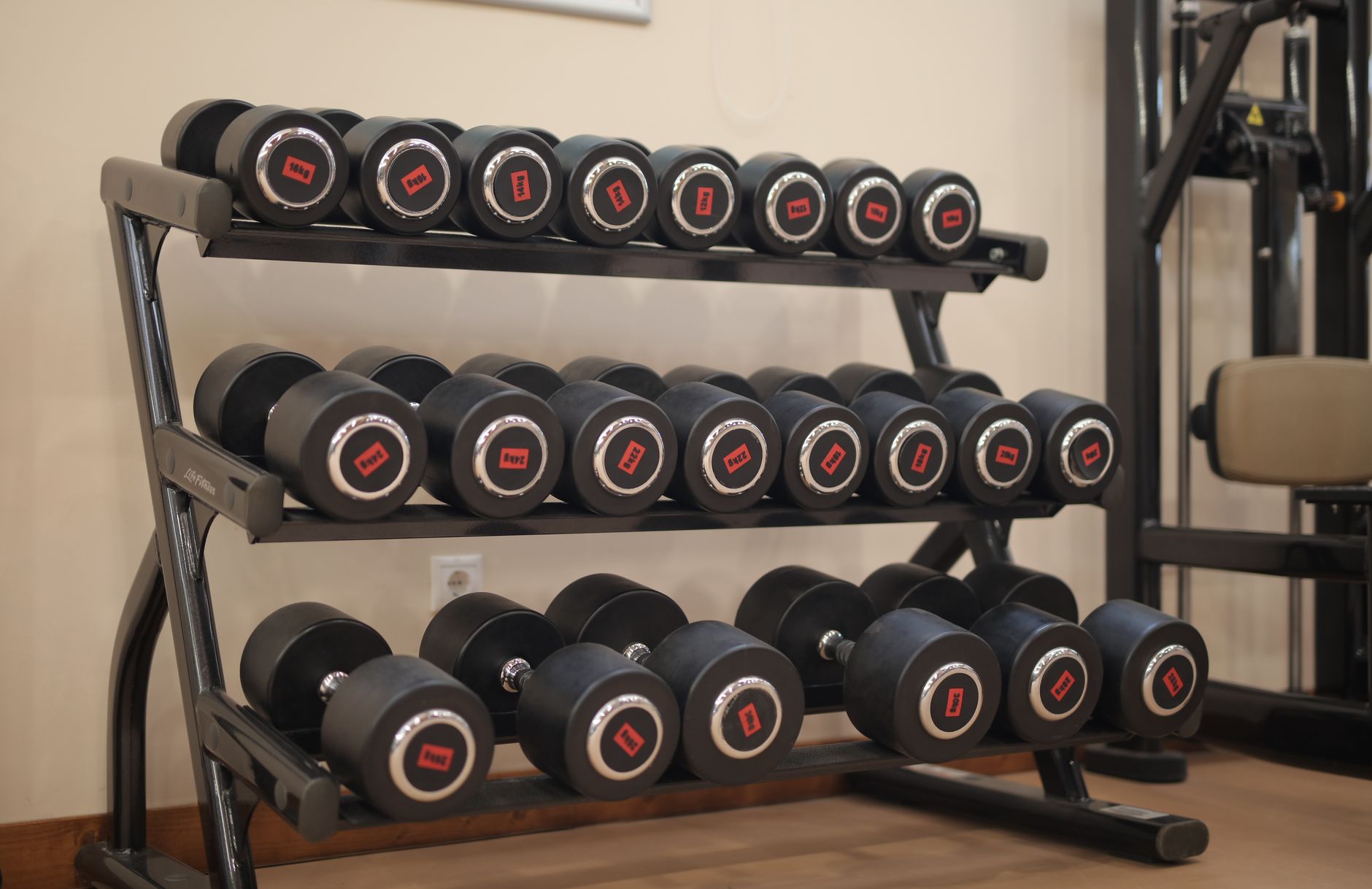 Studio 1