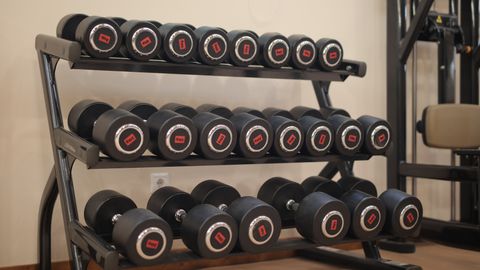 A neat arrangement of heavy dumbbells on a gym rack, ideal for workouts and strength training.