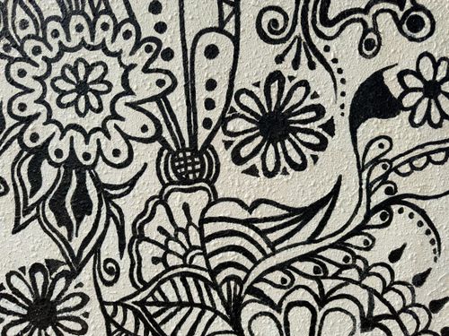Free stock photo of abstract, black and white, botanical Stock Photo