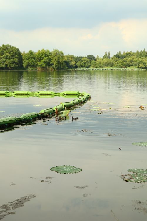Free Tranquil lake with green floating barriers amidst lush trees and clear sky. Stock Photo