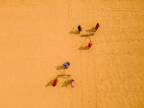 Top-down view of workers in vibrant clothing cultivating a field in Bangladesh.