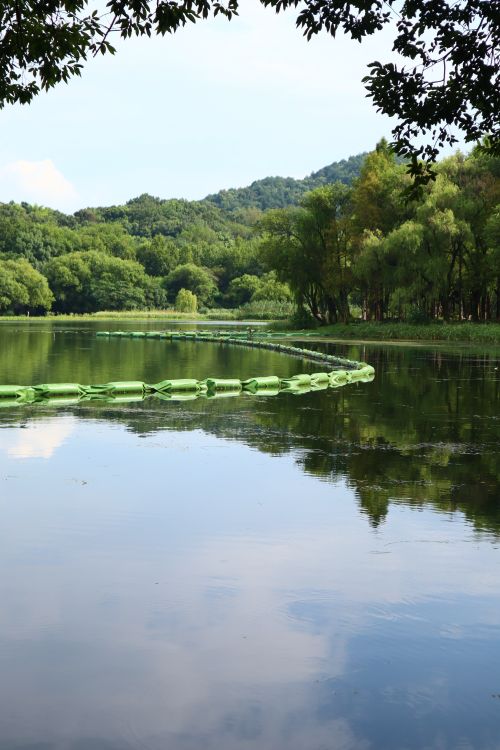 Free Tranquil lake view with green buoys and lush forest reflections under a clear sky. Stock Photo