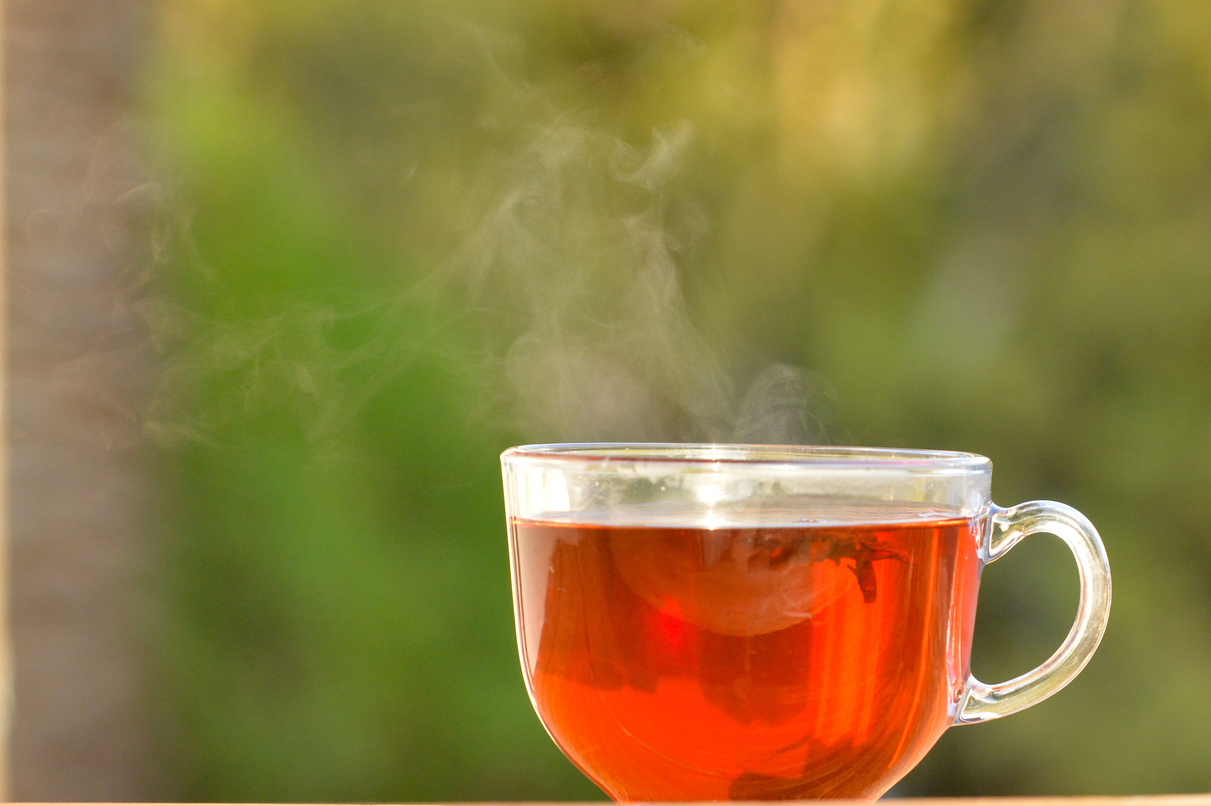 A steaming cup of hot tea in a clear glass mug set against a blurred natural background.