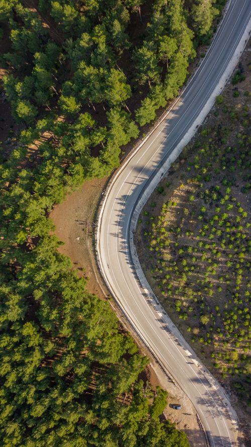 Free Aerial view of a winding road cutting through a lush green forest, captured from above. Stock Photo