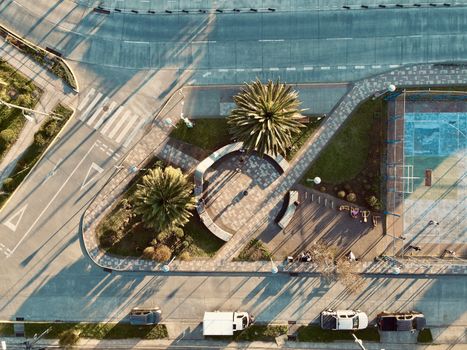 Aerial view of an urban park featuring circular pathways, palm trees, and adjacent roadways.