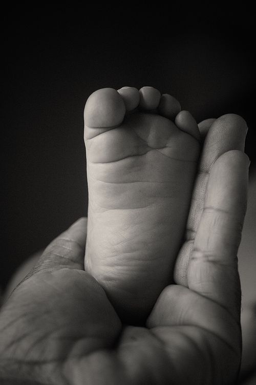 Free A touching black and white portrait of a baby's foot resting gently in an adult's hand. Stock Photo