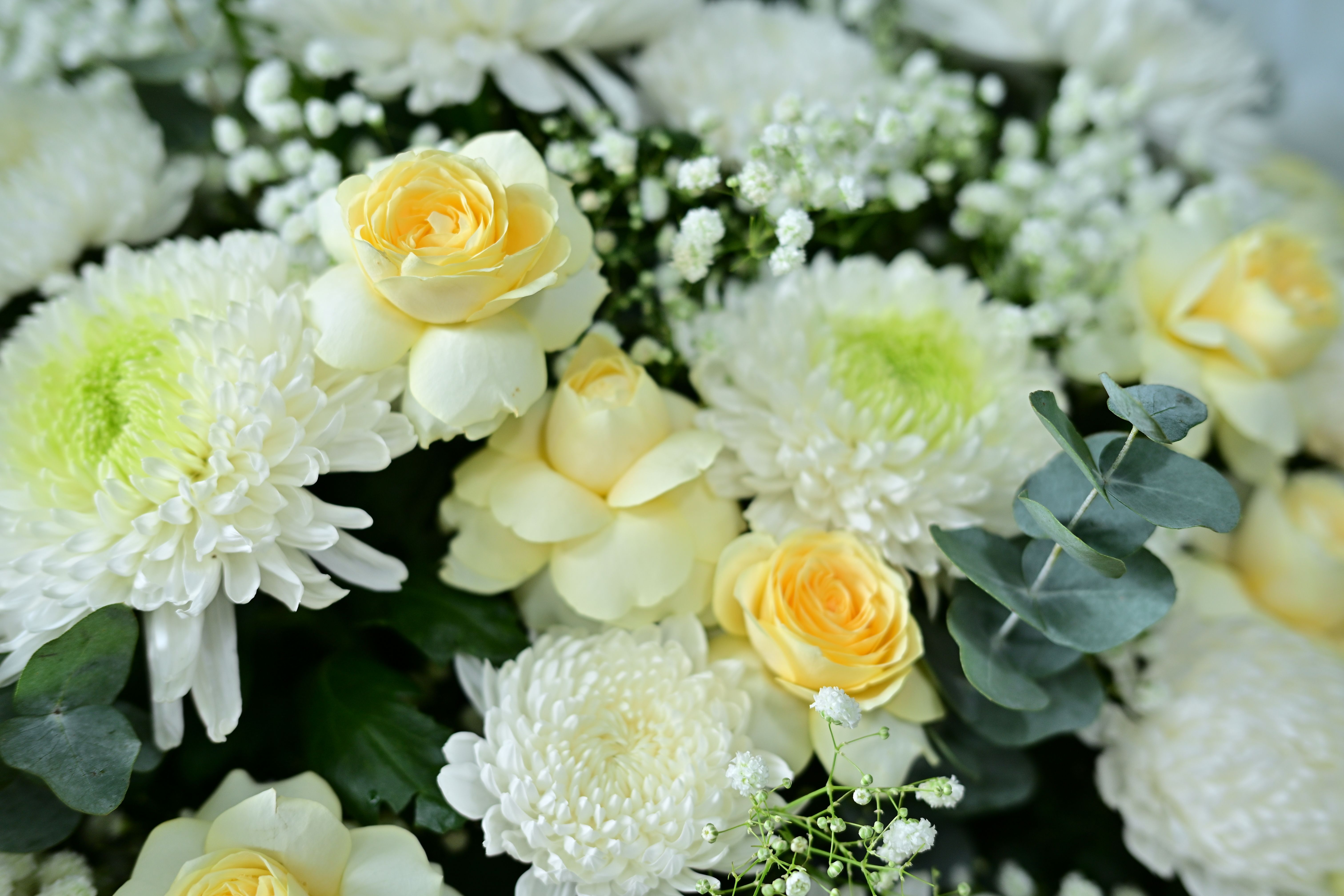 A vibrant mix of white chrysanthemums and yellow roses in a lush floral bouquet.