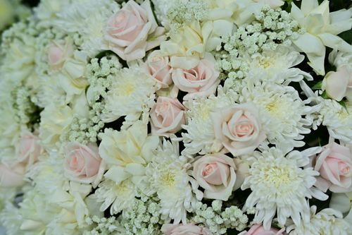 Free Beautiful arrangement featuring white and pink roses with chrysanthemums. Stock Photo