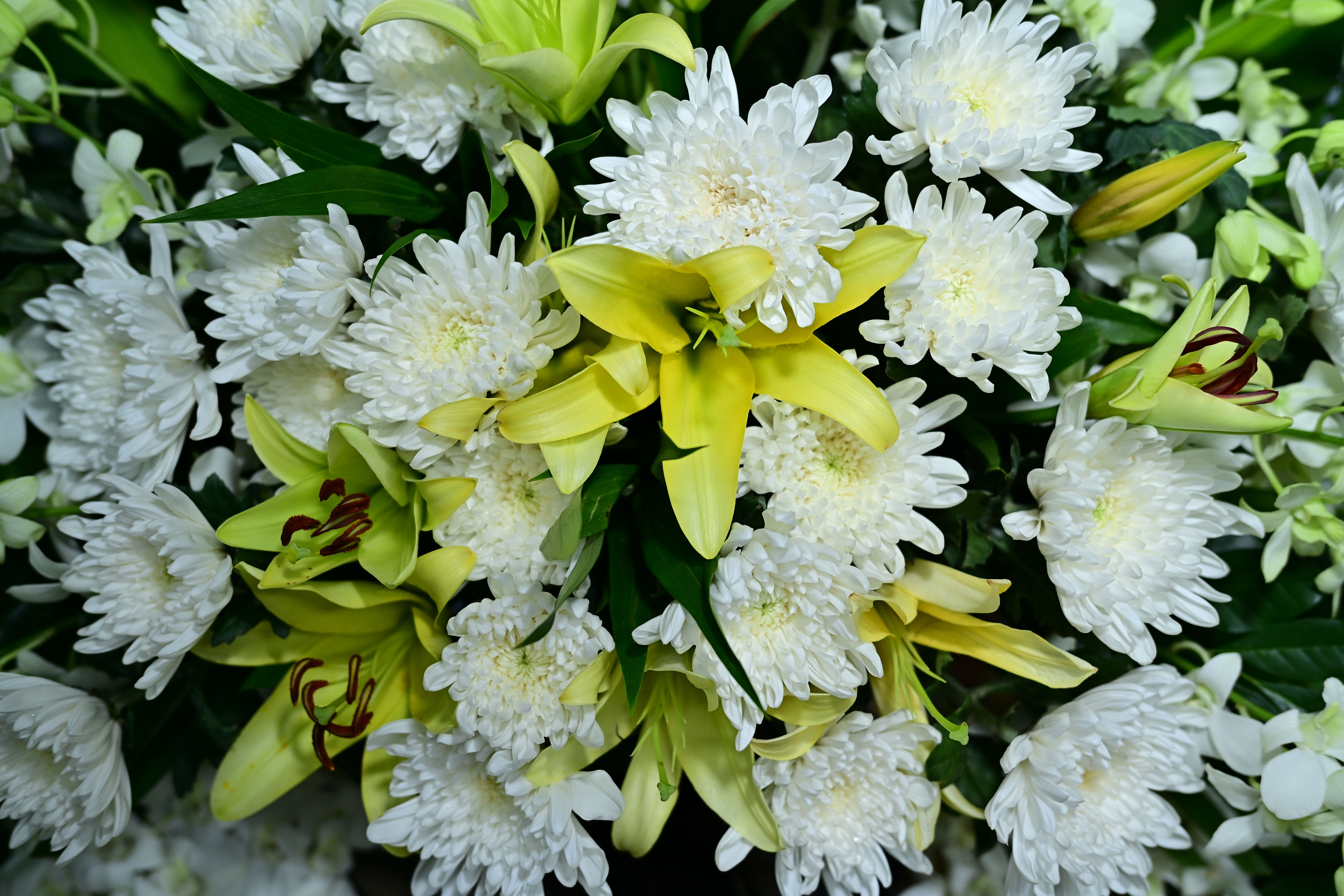 Flowers, cut; lilies (Lilium spp.), flowers and flower buds of a kind suitable for bouquets or ornamental purposes, fresh