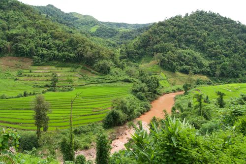Free A scenic view of lush green terraced rice fields and a winding river under a cloudy sky. Stock Photo