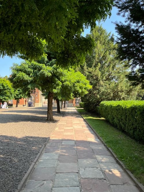 Free A sunny pathway between lush green trees in an outdoor park setting. Stock Photo