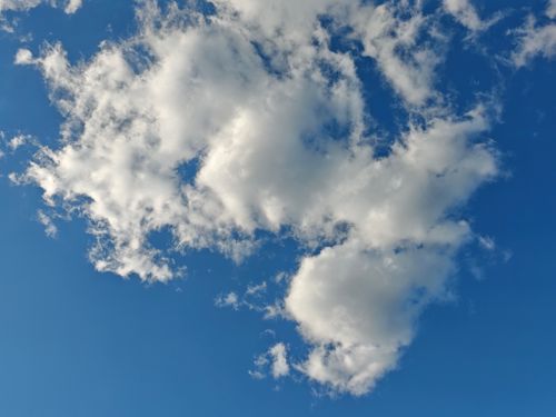 Free Soft, fluffy clouds drifting across a vivid blue sky on a sunny day. Stock Photo