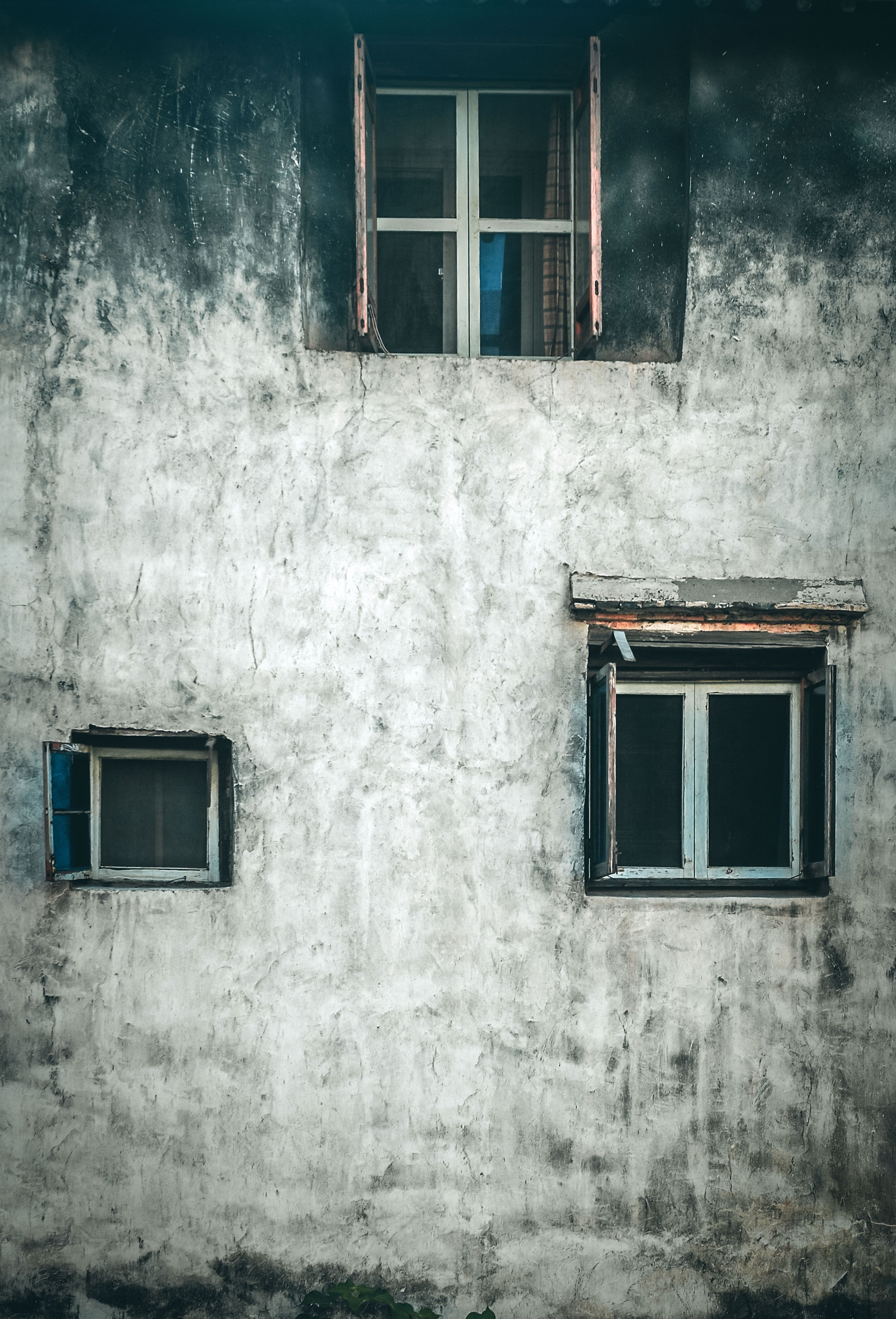 Photo by sanynjez gao on pexels
