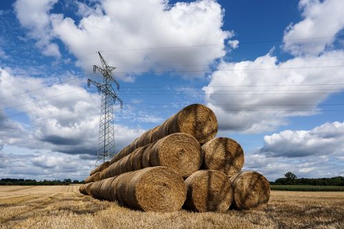 Free A serene rural landscape featuring stacked hay bales under a blue sky with power lines. Stock Photo