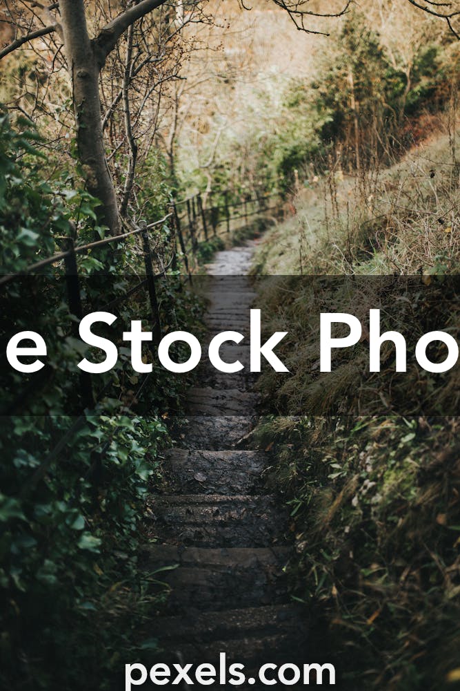 500+ Amazing Giant Step Photos Pexels · Free Stock Photos