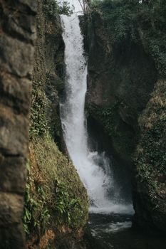 在茂密的绿色森林中，一道宁静的瀑布优雅地流淌，展现着大自然的美丽