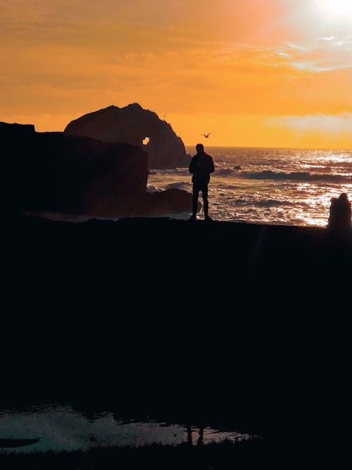 Silhouette of Man Standing on Seashore during Sunset