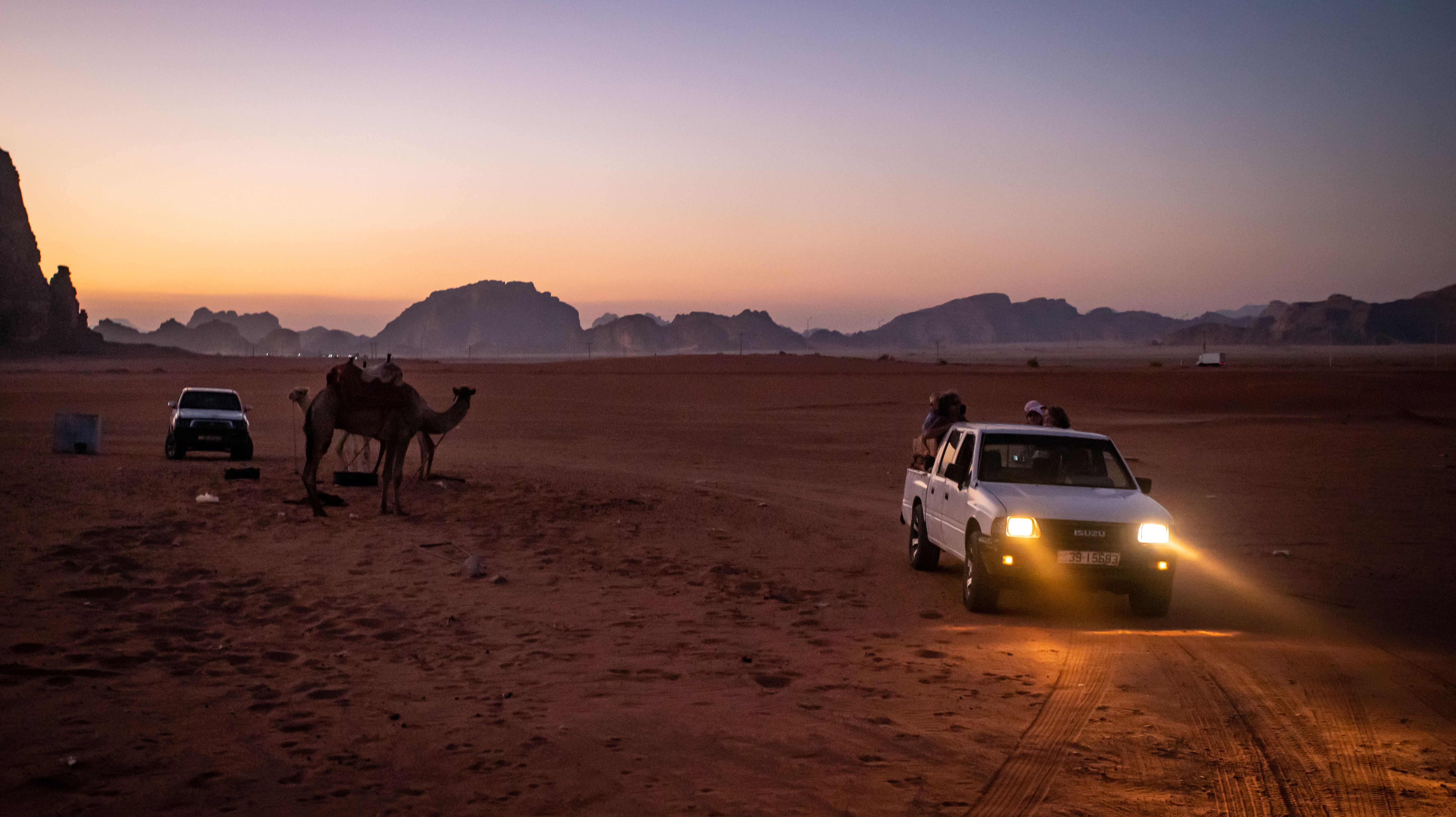 Nightfall in Wadi Rum showcasing camels and vehicles set against a stunning desert backdrop.