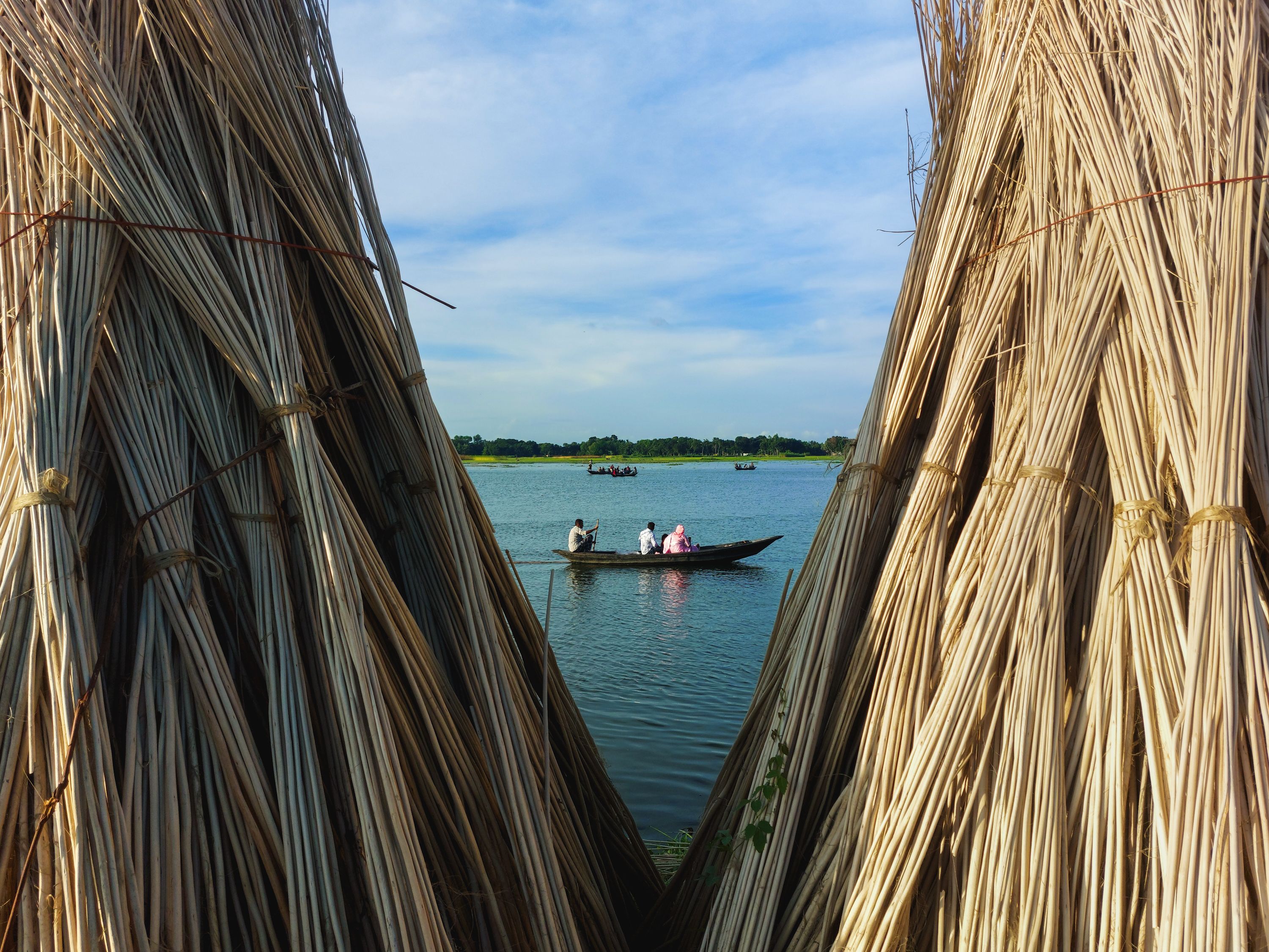 A serene boat ride on a lake framed by bundled reeds under a clear sky.