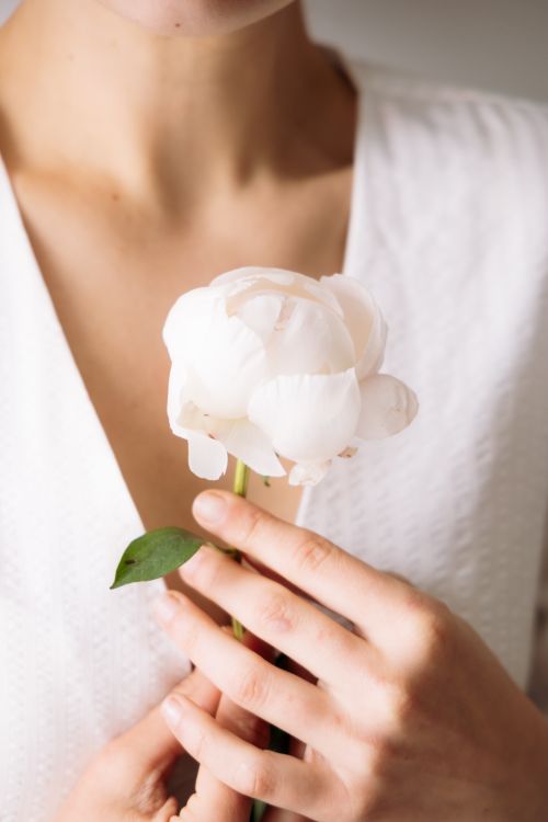 Free Close-up of a delicate white flower held by a woman against a light background, symbolizing purity and grace. Stock Photo