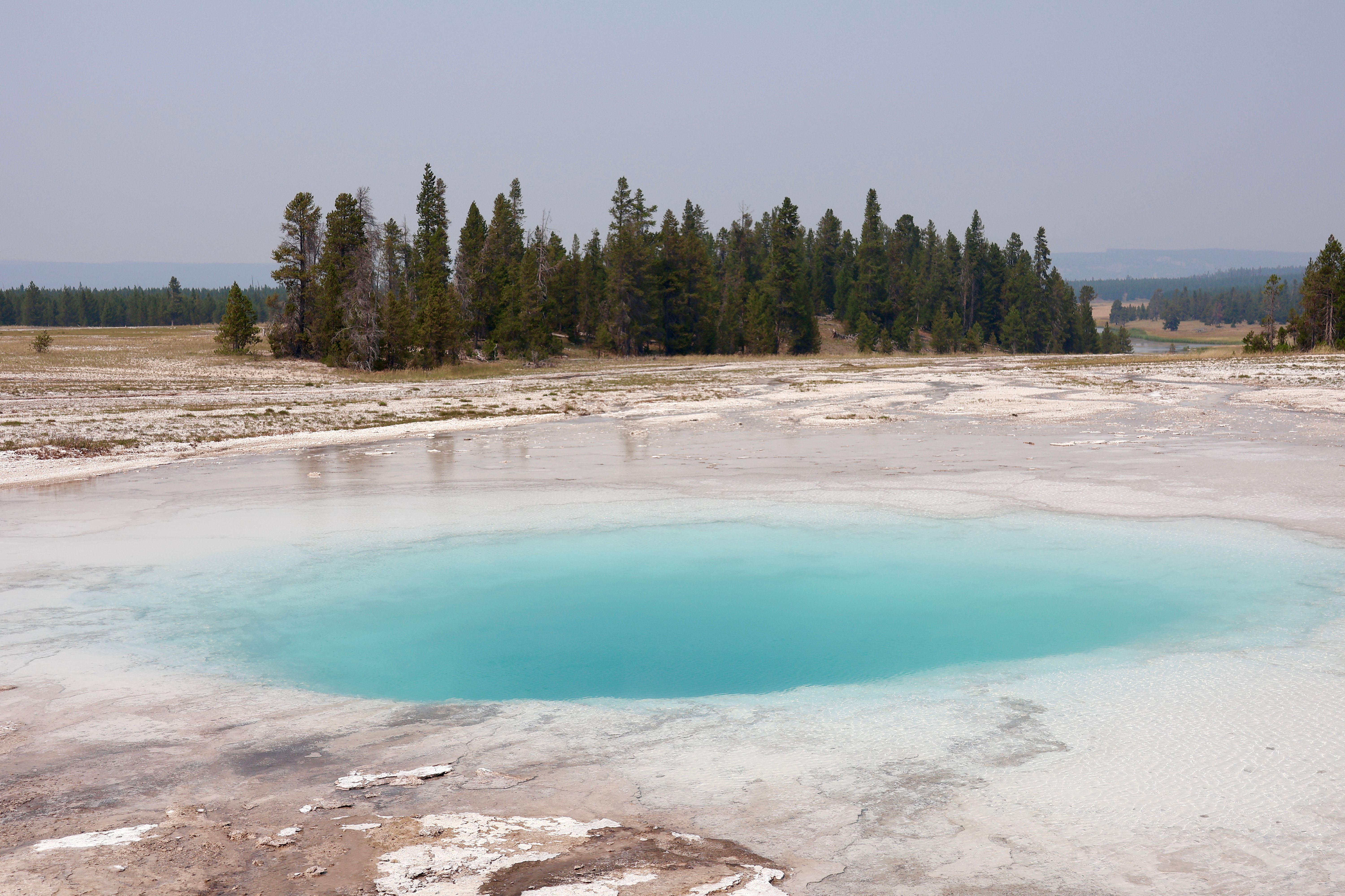 A stunning view of a turquoise hot spring surrounded by trees in Yellowstone National Park.