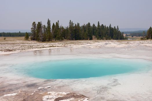 A stunning view of a turquoise hot spring surrounded by trees in Yellowstone National Park.