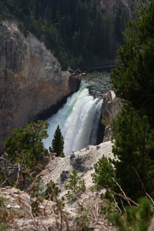 Free Majestic waterfall in Yellowstone National Park surrounded by lush greenery and rugged cliffs. Stock Photo