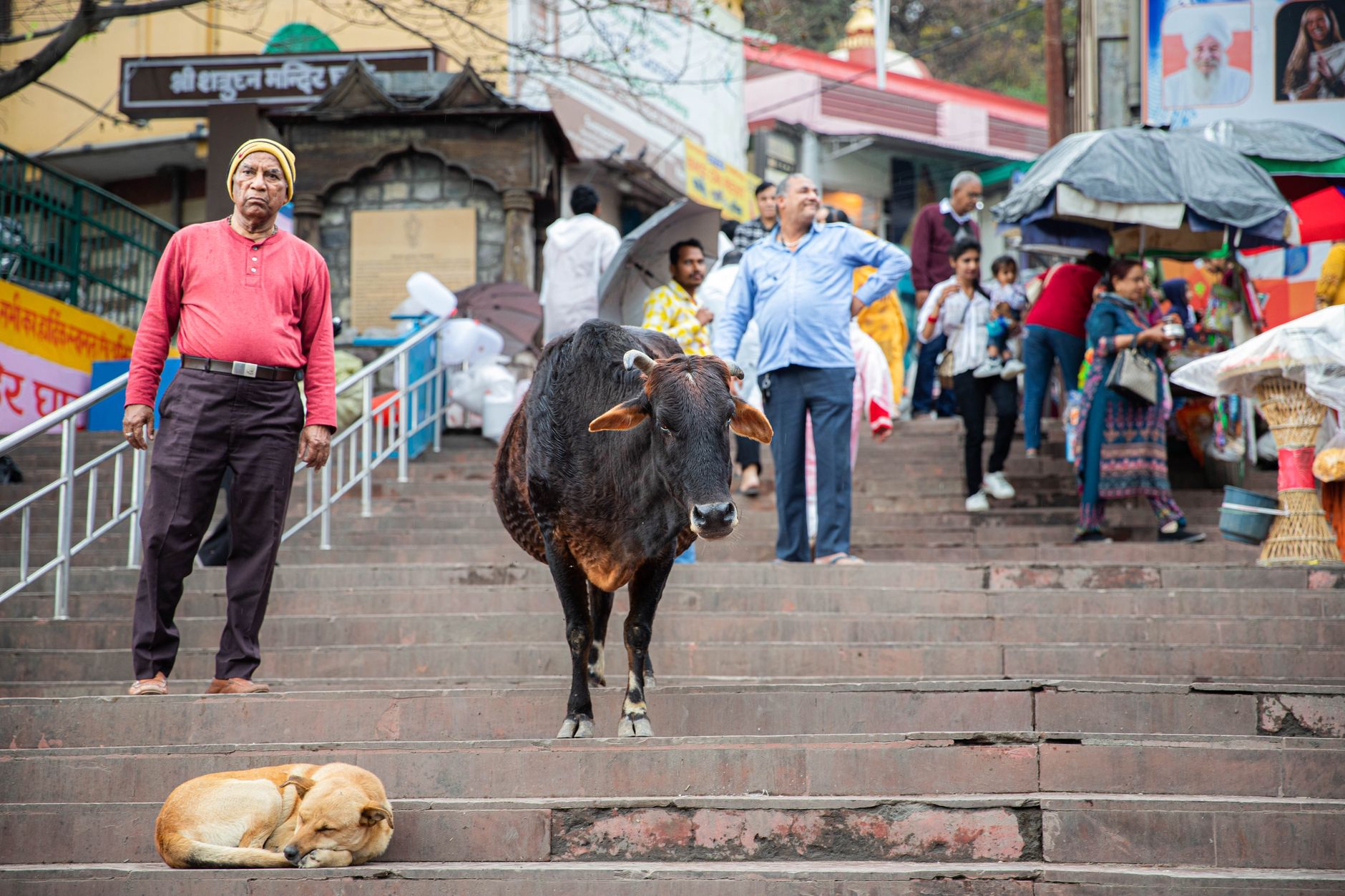 Rishikesh — Street, Rishikesh