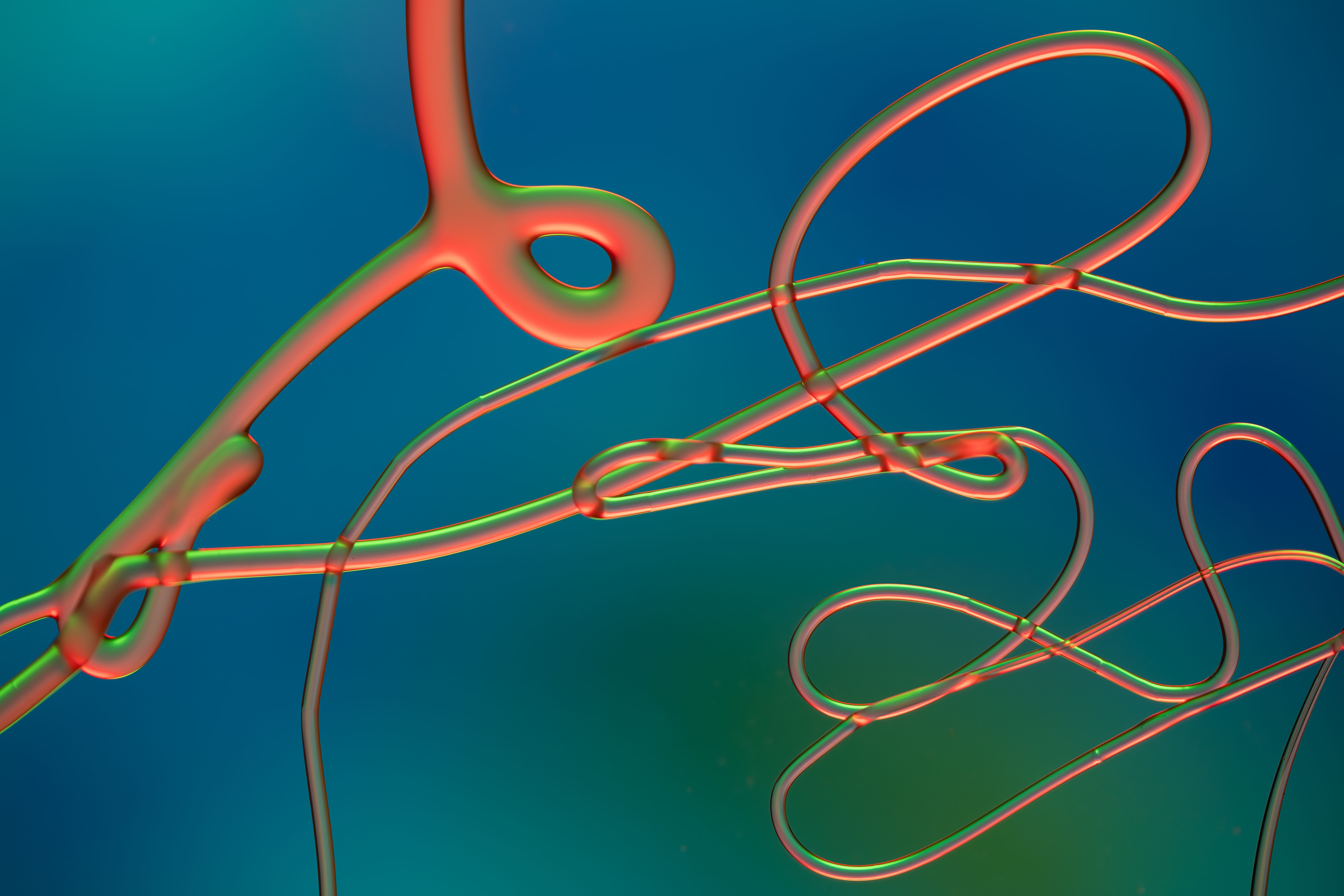 ebola