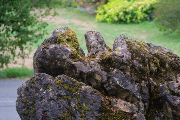 Roche poreuse érodée, encadrée par un doux bokeh vert de jardin