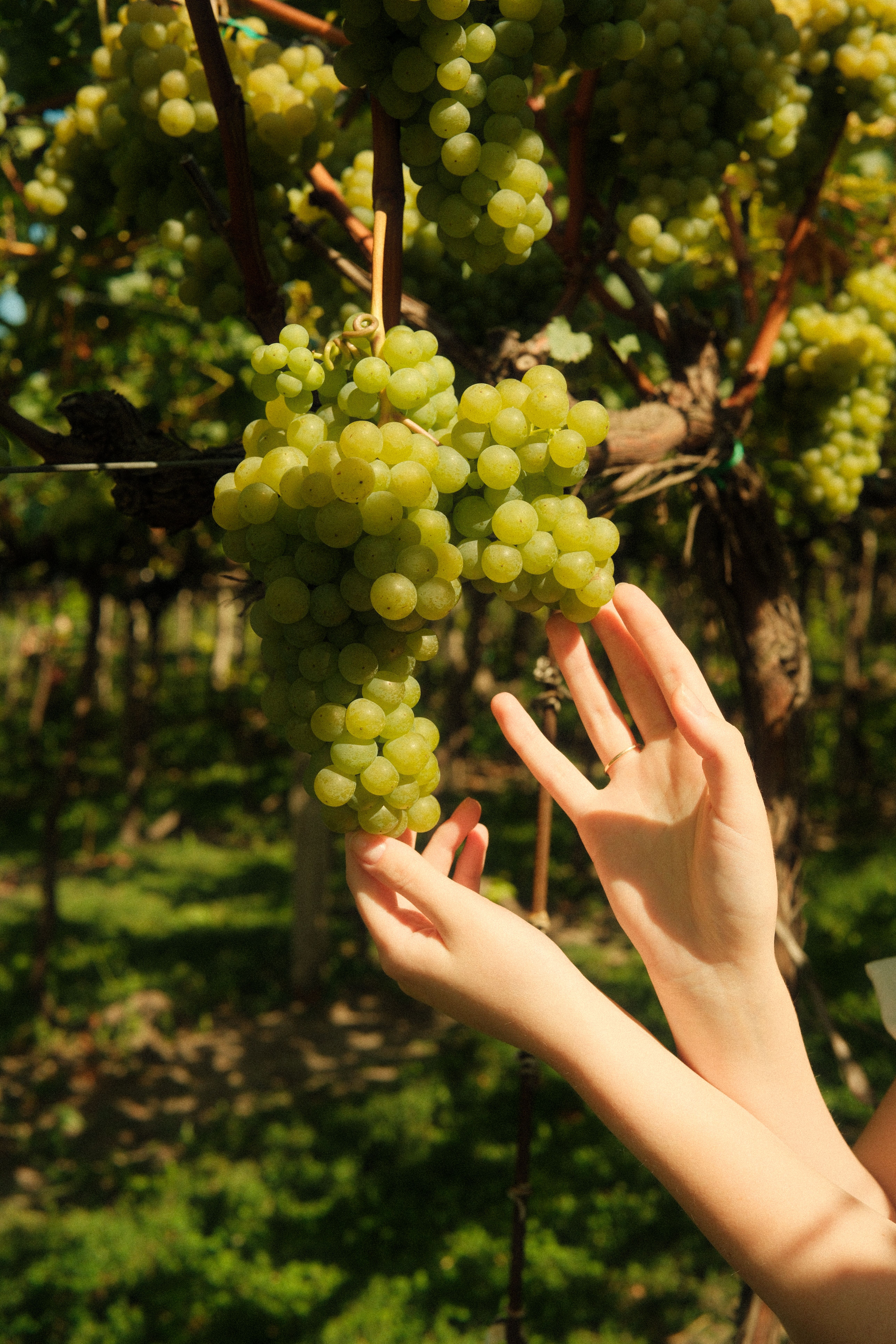 EATING WITH YOUR SENSES