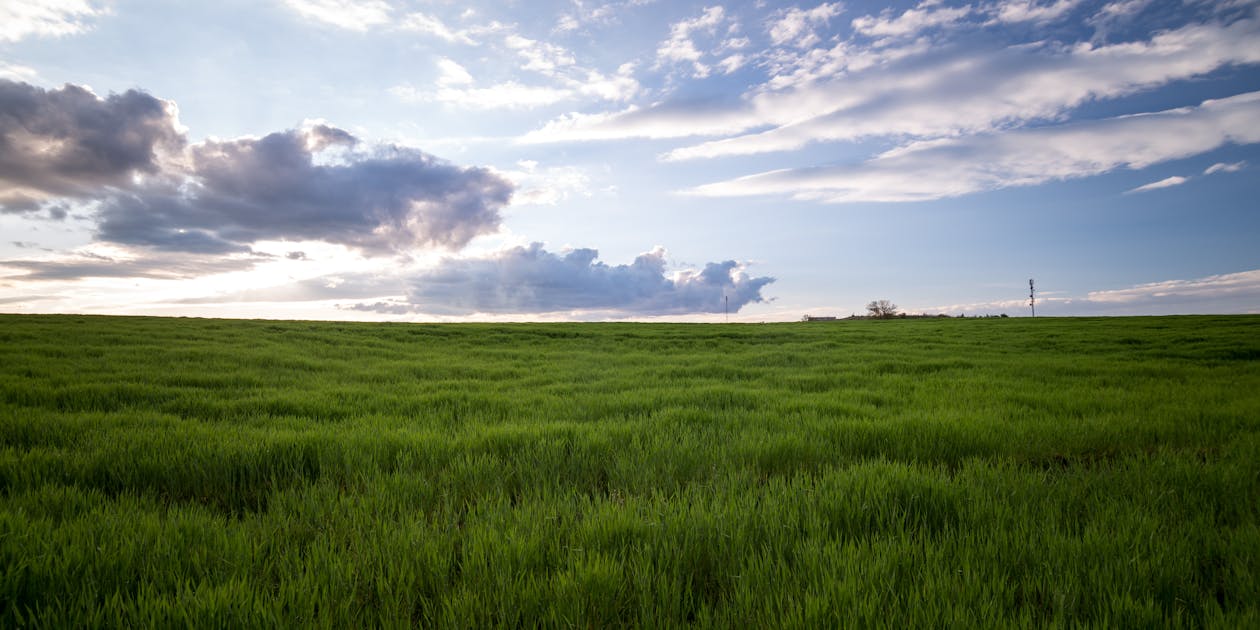 Free Green Grass Under Cloudy Sky Stock Photo