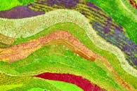 从空中俯瞰印度尼西亚西爪哇省的梯田，色彩斑斓，展现了大自然充满活力的图案