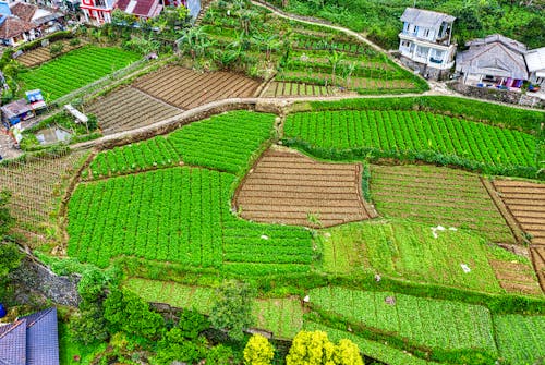 Základová fotografie zdarma na téma dron, farma, hřiště